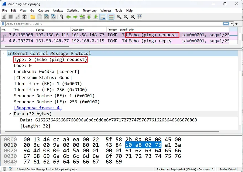 ICMP Echo Request Paketi