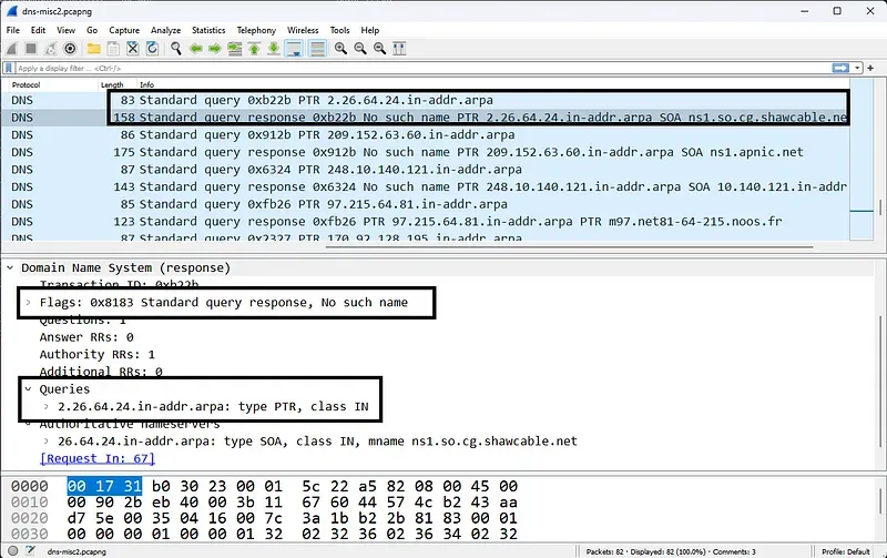 Bulunamayan Domain Sorgusu (NXDOMAIN)