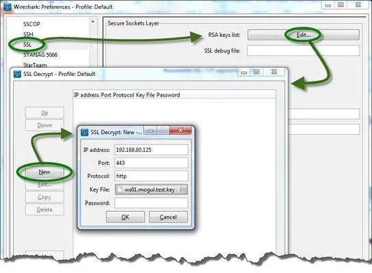 client init renego.pcap Örnek Dosyasının İncelenmesi
