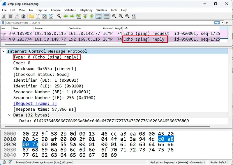ICMP Echo Reply Paketi