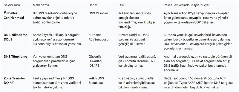 DNS Saldırı Vektörleri Karşılaştırmalı Analizi
