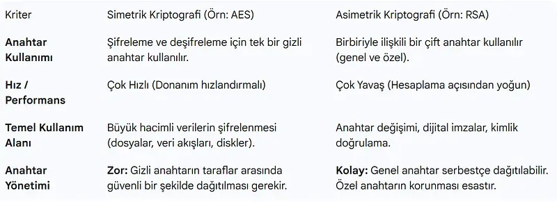 Kriptografik Yöntemlerin Karşılaştırmalı Analizi
