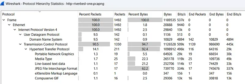 Wireshark Protokol Hiyerarşisi İstatistiği